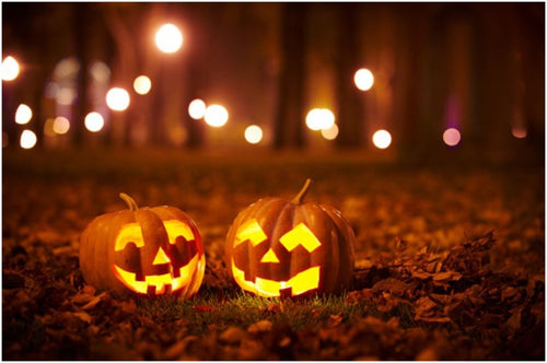 day-con-thong-minh-be-kham-pha-tat-tan-tat-ve-le-hoi-halloween-bi-an