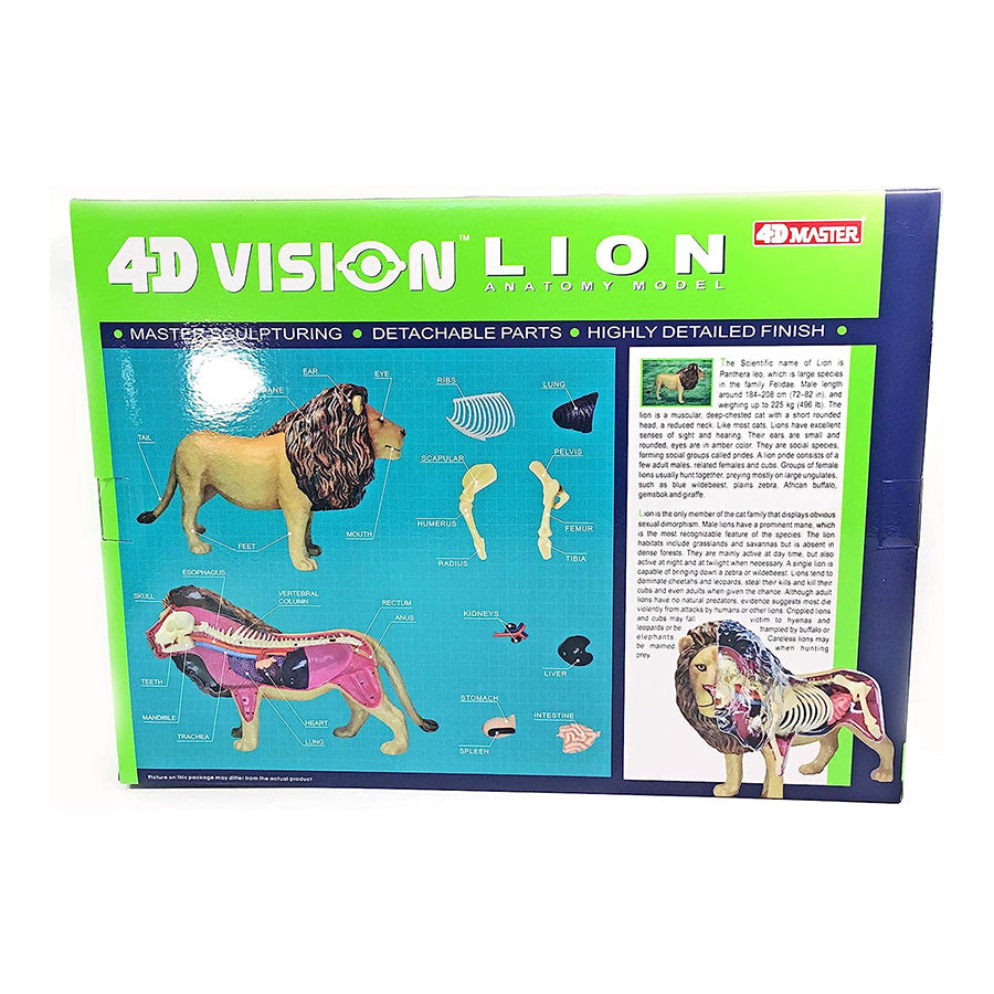 4D Anatomy Model Toy - STEAM Lion 622036