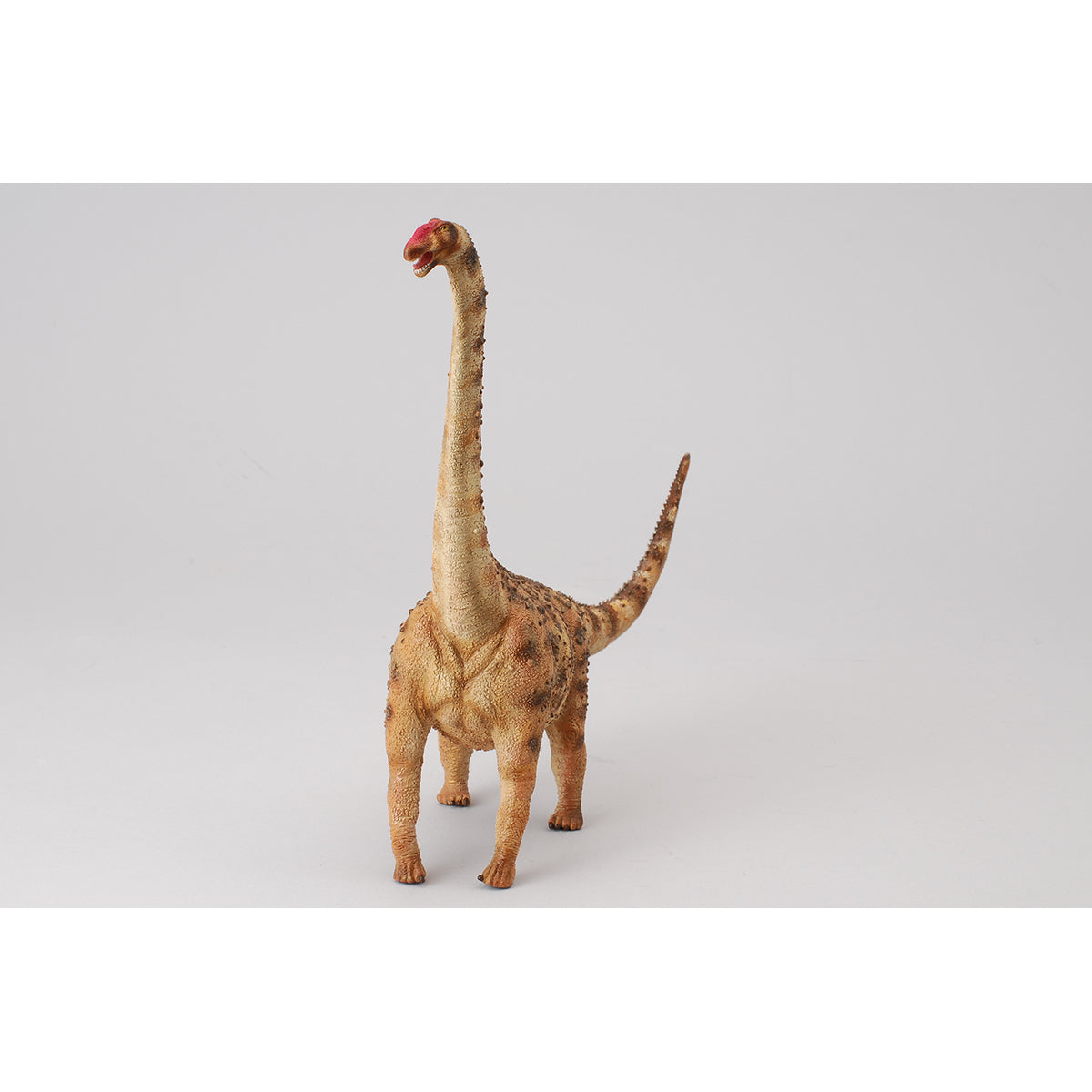 Đồ Chơi Mô Hình Động Vật Thằn Lằn Argentinosaurus COLLECTA 88547