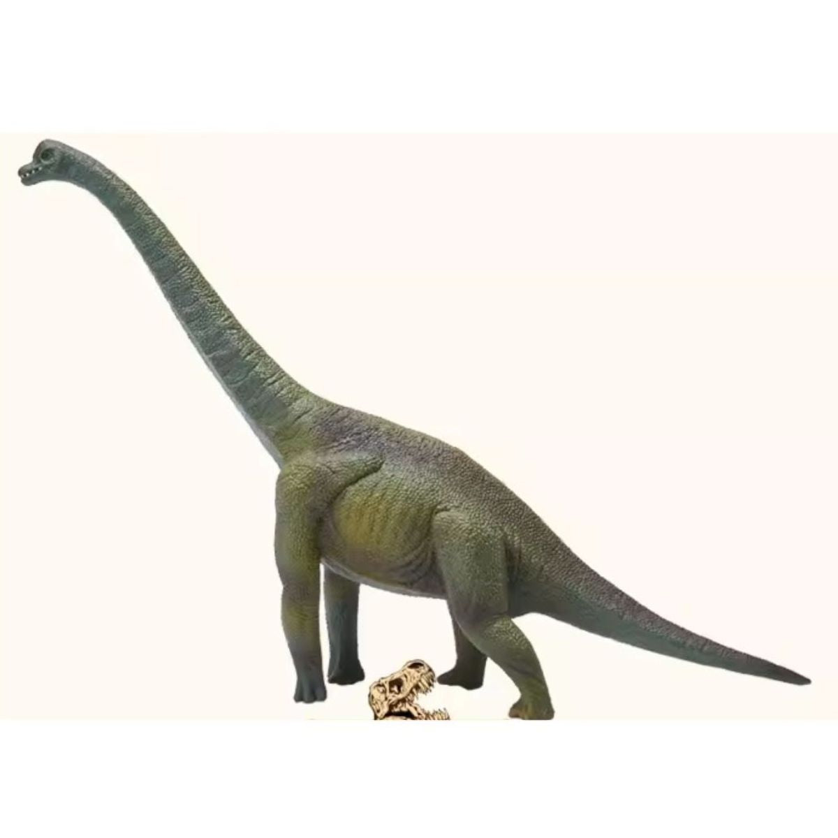 Đồ Chơi Mô Hình Động Vật Khủng Long Cổ Dài Brachiosaurus COLLECTA 88121