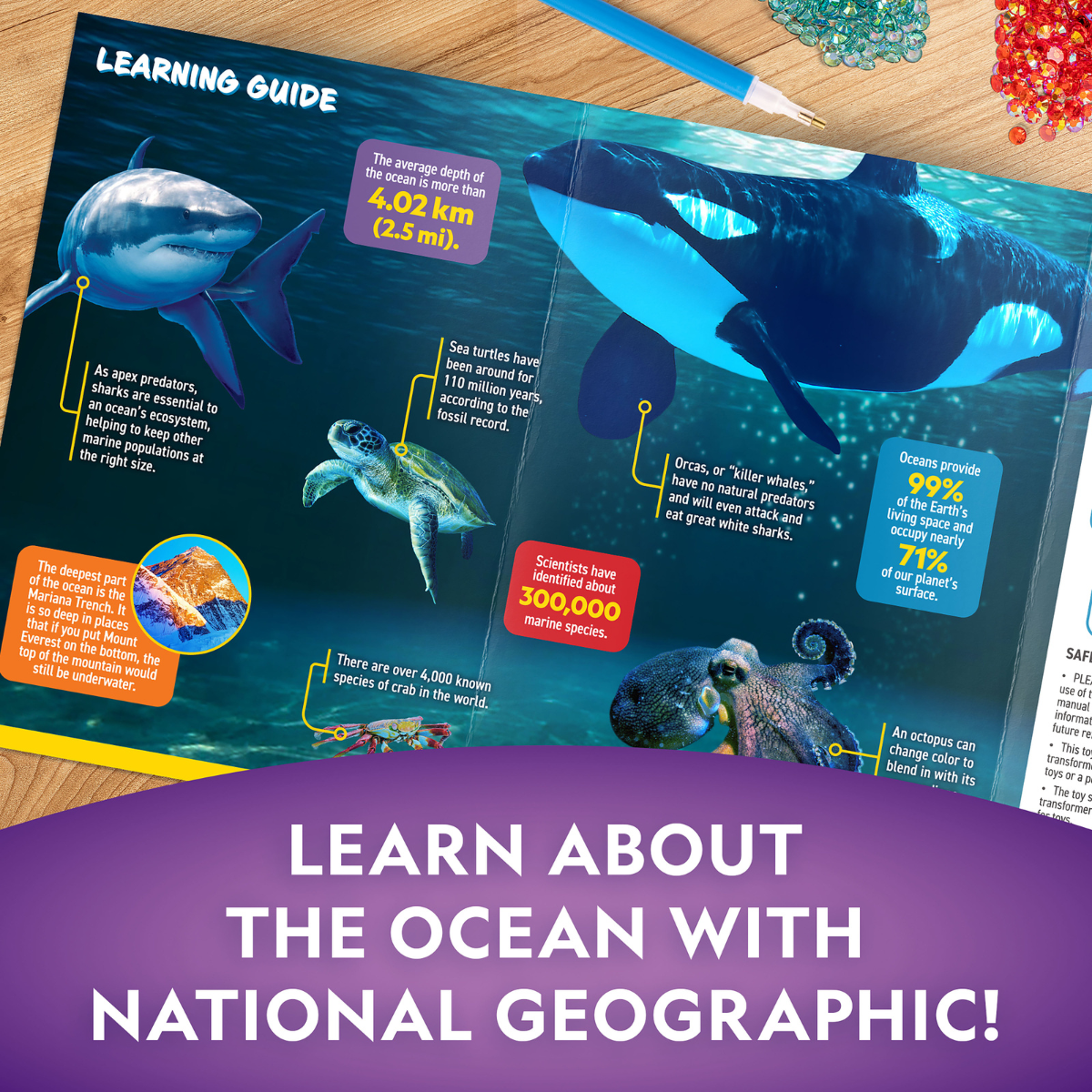 Nat Geo Đèn Chiếu Ban Đêm Đại Dương STEAM RTOCEANLT