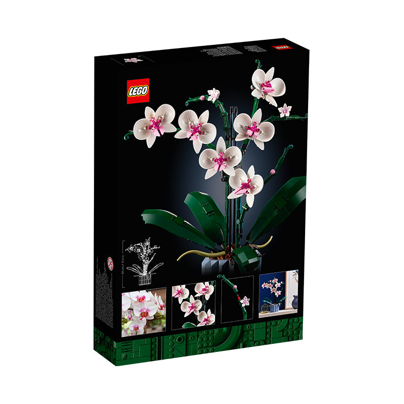 Đồ Chơi Lắp Ráp Hoa Lan Lego LEGO BOTANICALS 10311 (608 chi tiết)