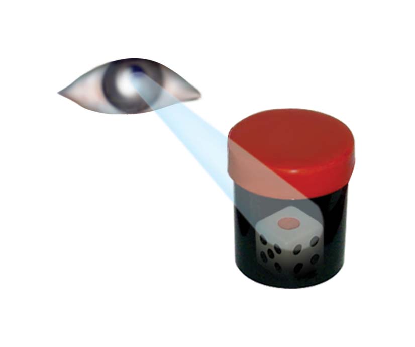 Eddy's Magic - Magic Kit with 50 Creative Moves EDDYS MAGIC ED5210