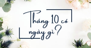Tháng 10 có ngày lễ gì? Chào mùa thu với loạt ngày lễ Việt Nam