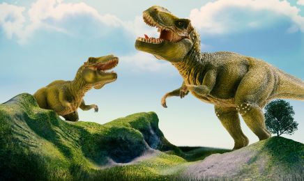 choi-cung-con-to-chuc-cuoc-dau-gay-can-giua-bo-cap-dung-nham-va-khung-long-t-rex