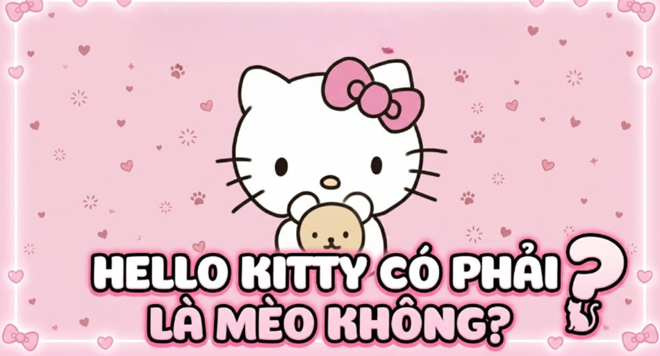hello-kitty-co-phai-meo-khong
