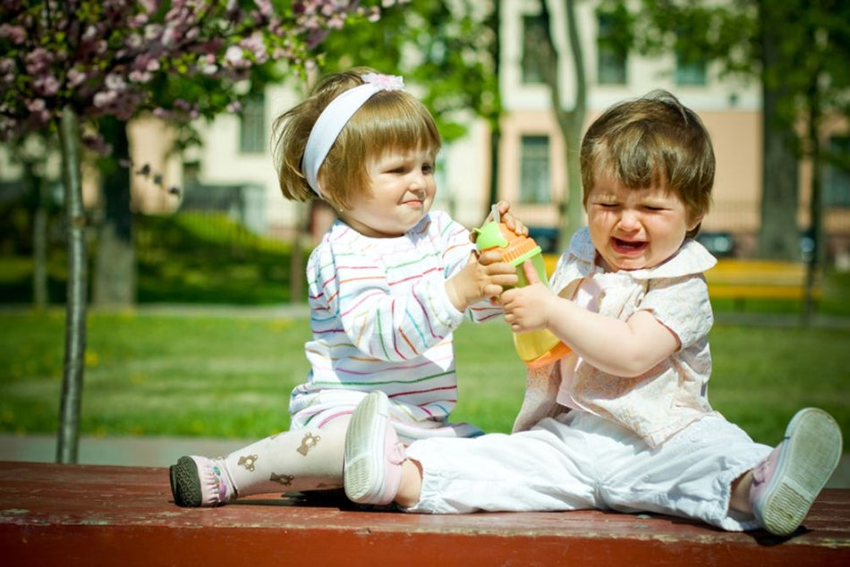 Dạy trẻ xử lý tình huống khi bị bạn giành đồ chơi