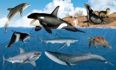 choi-cung-con-bo-suu-tap-do-choi-mo-hinh-con-vat-song-duoi-nuoc