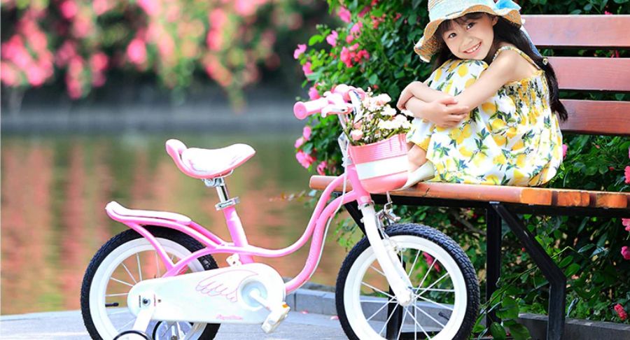 Nên mua xe đạp trẻ em loại nào? Gợi ý theo độ tuổi và thương hiệu