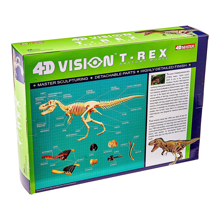 4D Anatomy Model Toy - T-Rex STEAM Dinosaur 622013