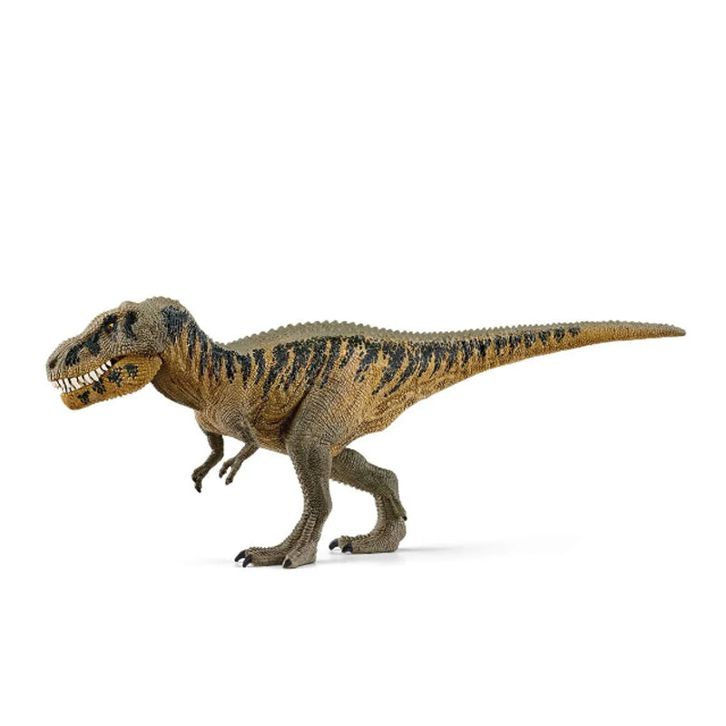 khung-long-tarbosaurus-15034-02