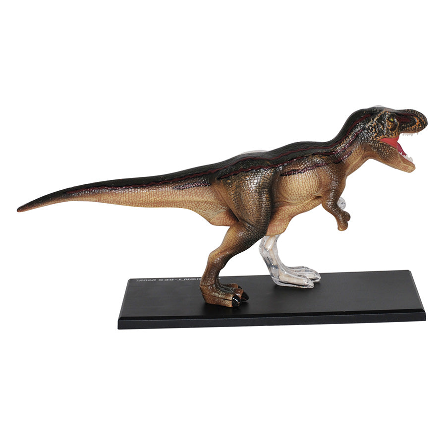 4D Anatomy Model Toy - T-Rex STEAM Dinosaur 622013
