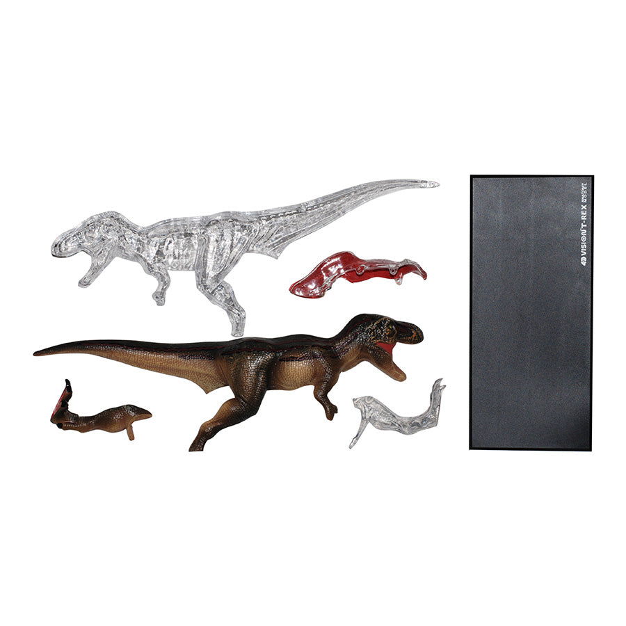 4D Anatomy Model Toy - T-Rex STEAM Dinosaur 622013