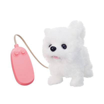 cun-con-r-c-pomeranian-3159-2vn-js-02