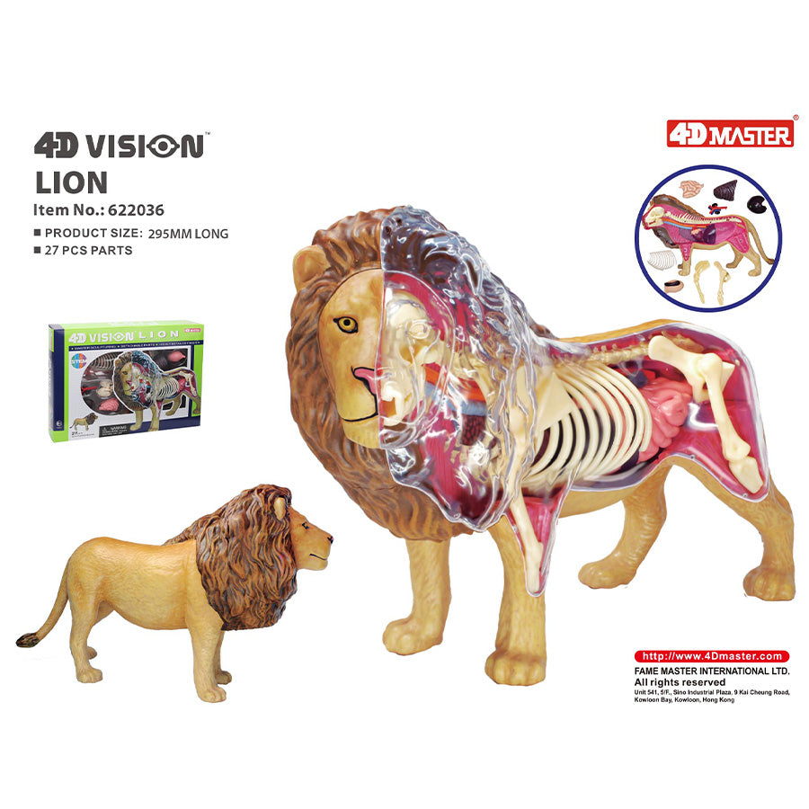 4D Anatomy Model Toy - STEAM Lion 622036