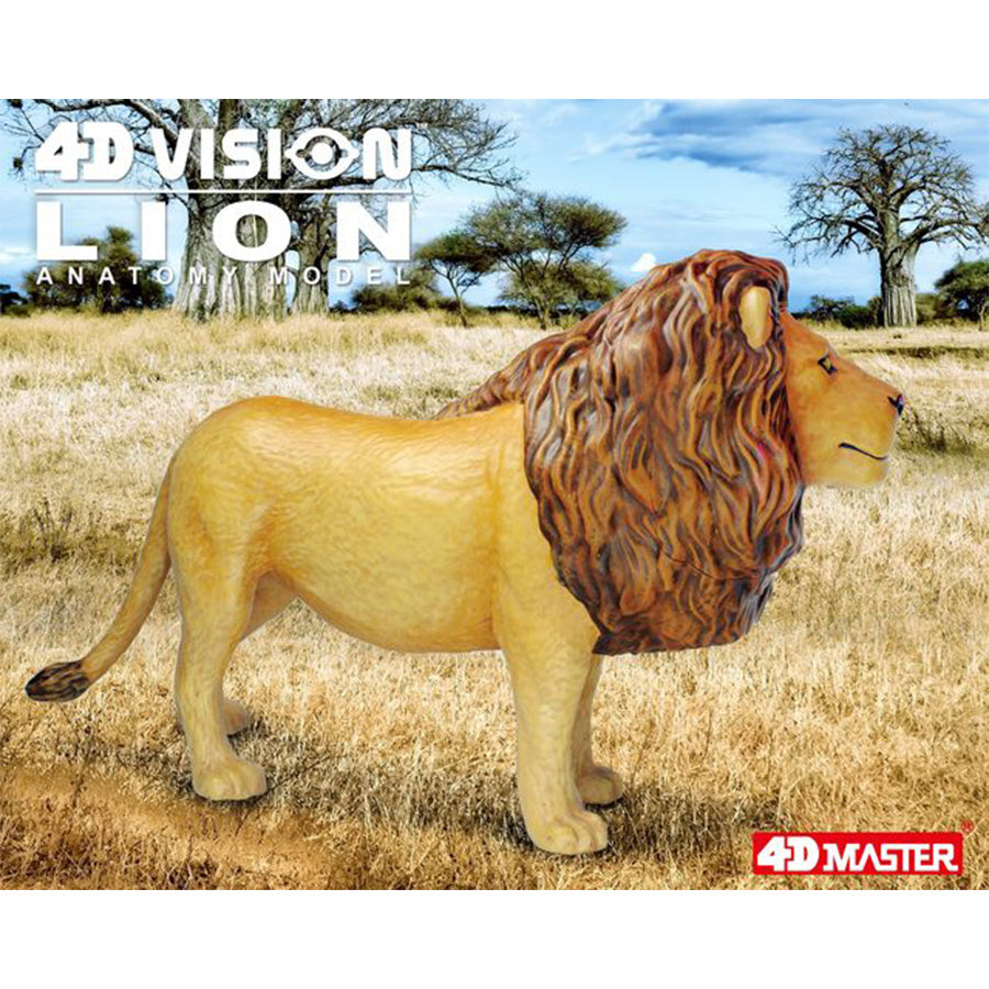 4D Anatomy Model Toy - STEAM Lion 622036
