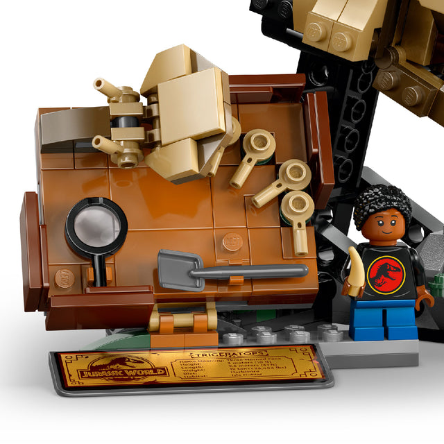 do-choi-lap-rap-dau-khung-long-ba-sung-lego-jurassic-76969-05