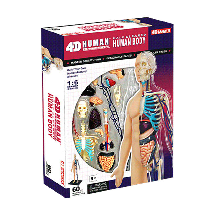 Đồ Chơi Mô Hình Giải Phẫu Người 4d - Trong Suốt, Nửa Người. Steam 626106