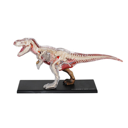 do-choi-mo-hinh-giai-phau-4d-khung-long-t-rex-622013-05
