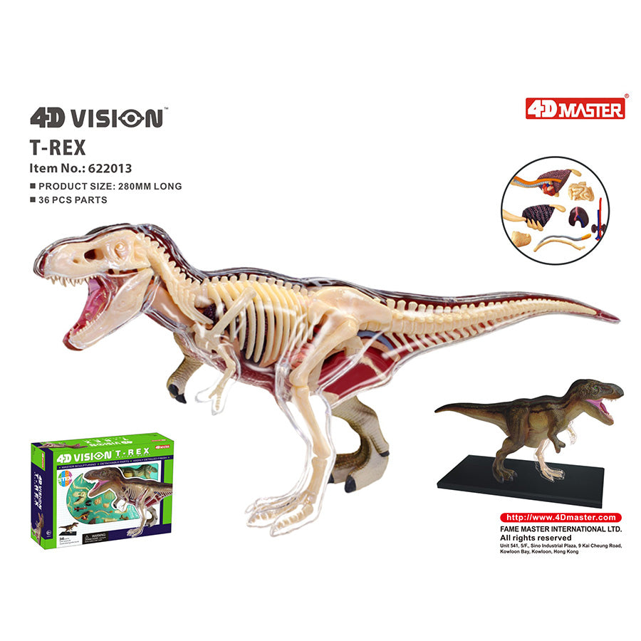 4D Anatomy Model Toy - T-Rex STEAM Dinosaur 622013