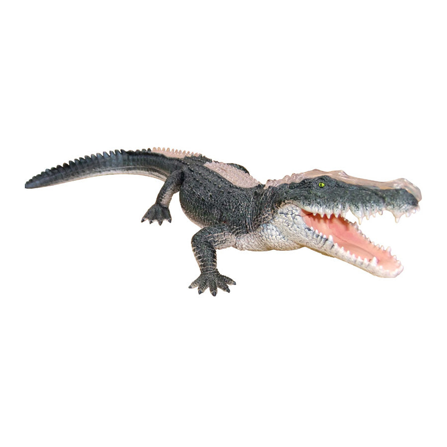 4D Anatomy Model Toy - STEAM Crocodile 622034