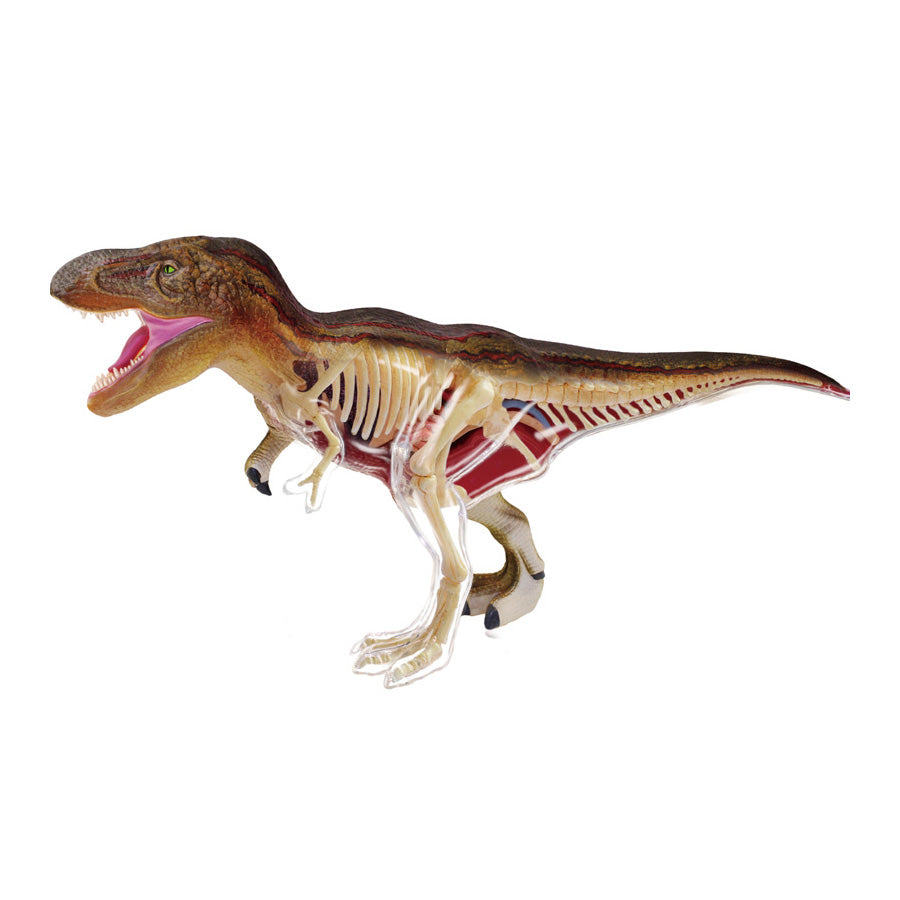 4D Anatomy Model Toy - T-Rex STEAM Dinosaur 622013