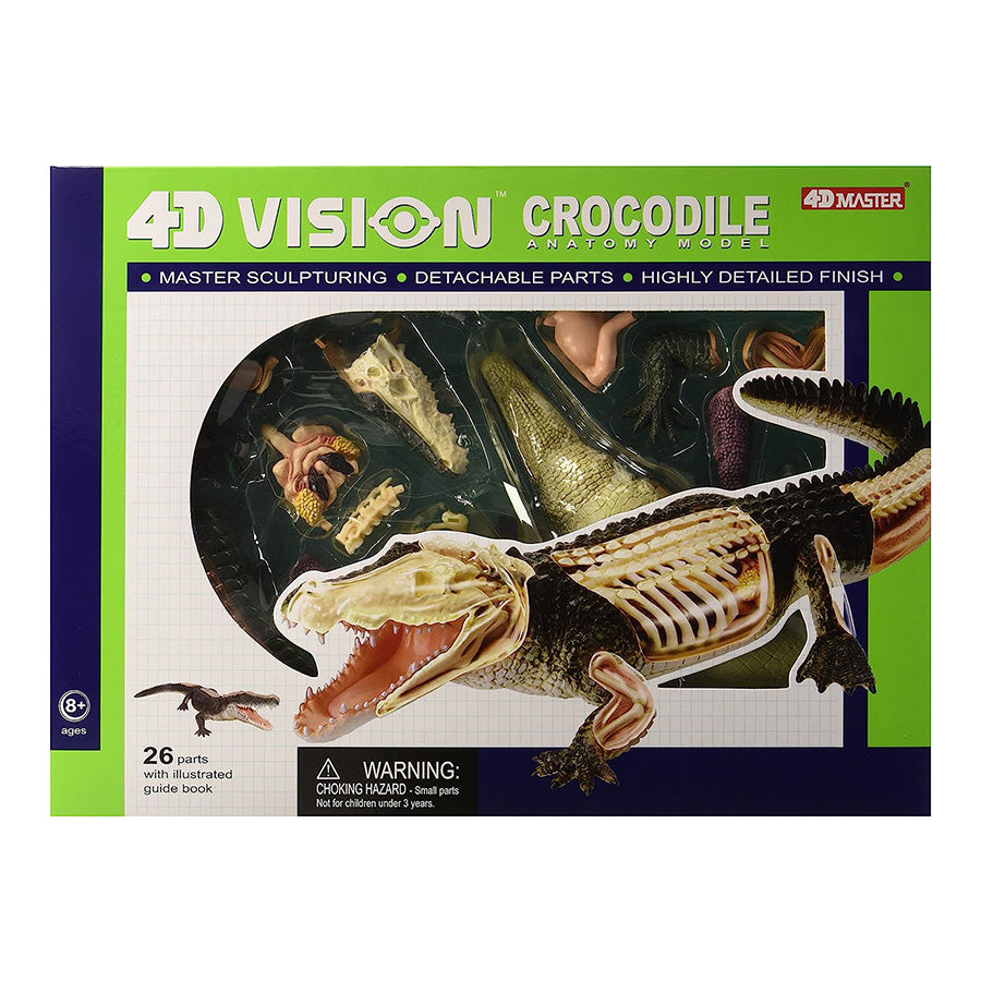 4D Anatomy Model Toy - STEAM Crocodile 622034