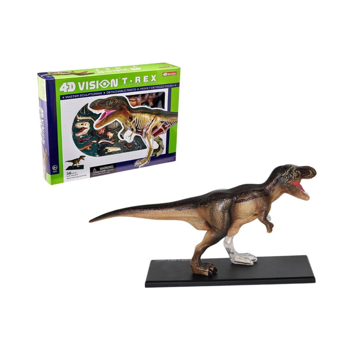 4D Anatomy Model Toy - T-Rex STEAM Dinosaur 622013