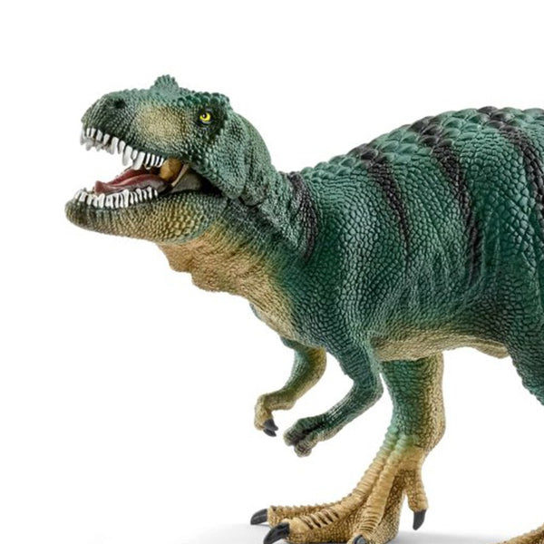 khung-long-tyrannosaurus-nho-15007-02
