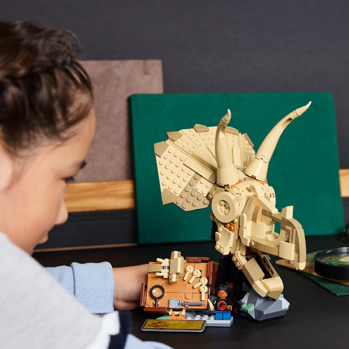 do-choi-lap-rap-dau-khung-long-ba-sung-lego-jurassic-76969-09