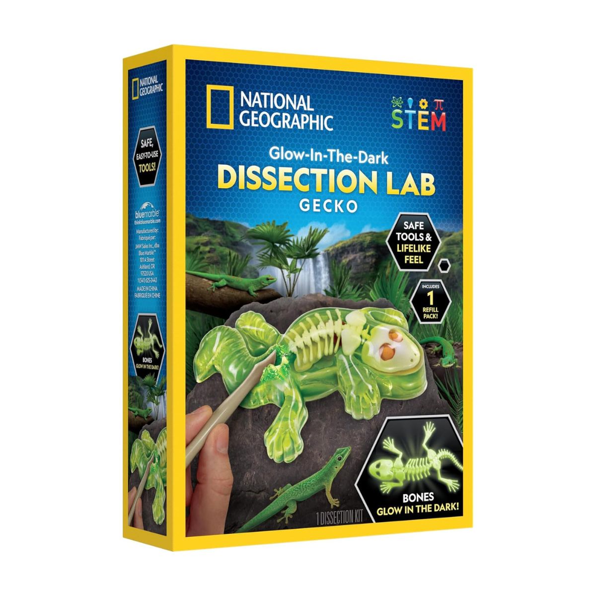 Đồ Chơi Nat Geo Giải Phẫu Thằn Lằn Phát Sáng Trong Đêm STEAM RTGECKOLAB
