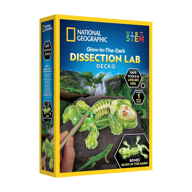 nat-geo-giai-phau-than-lan-phat-sang-trong-dem-steam-rtgeckolab-01
