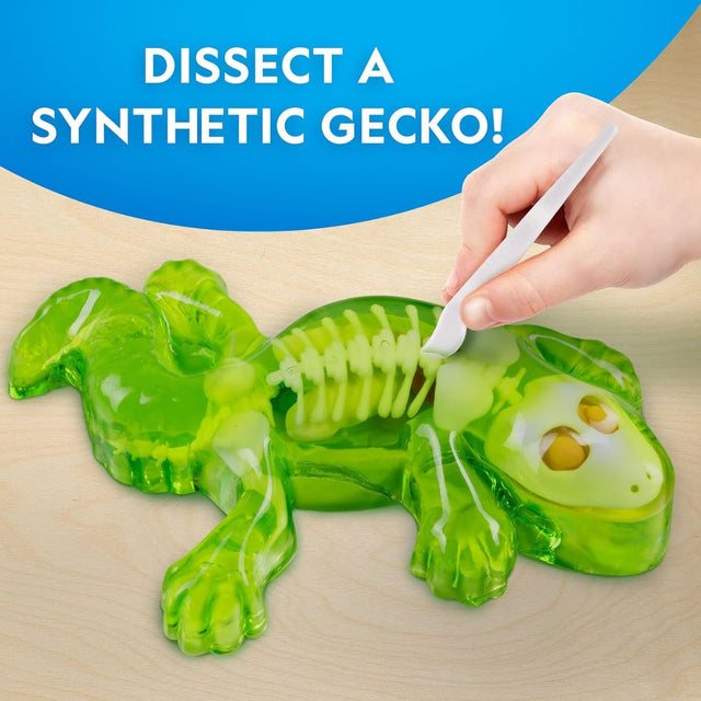 nat-geo-giai-phau-than-lan-phat-sang-trong-dem-steam-rtgeckolab-04