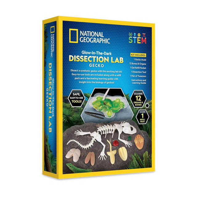 nat-geo-giai-phau-than-lan-phat-sang-trong-dem-steam-rtgeckolab-05