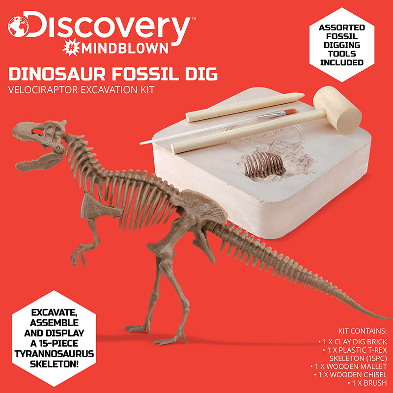 Bộ khảo cổ truy tìm xương Khủng long - T.Rex
