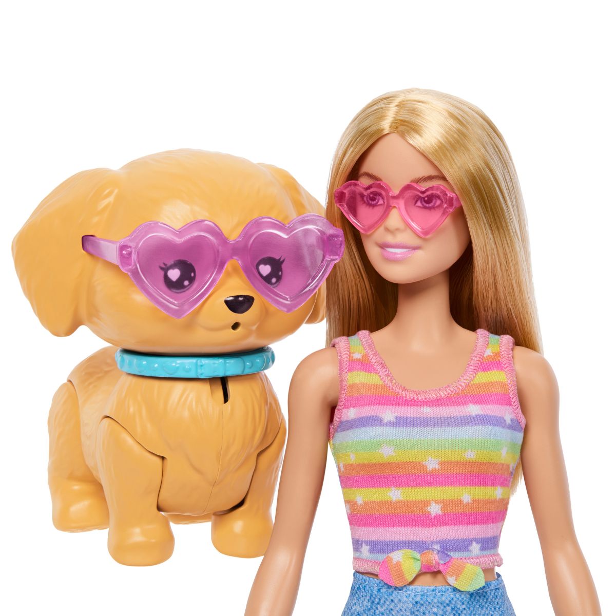 Đồ Chơi Barbie Cùng Cún Cưng Vi Vu Patin BARBIE JMJ44