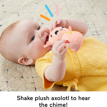 bo-do-choi-4-mon-phat-trien-giac-quan-cho-be-so-sinh-fisher-price-mattel-hrb17-04