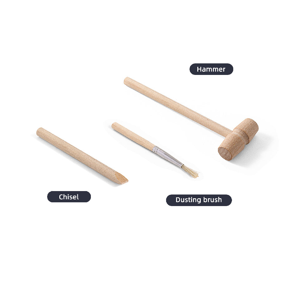 Ancient Pyramid Excavation Archeology Set STEAM D7188