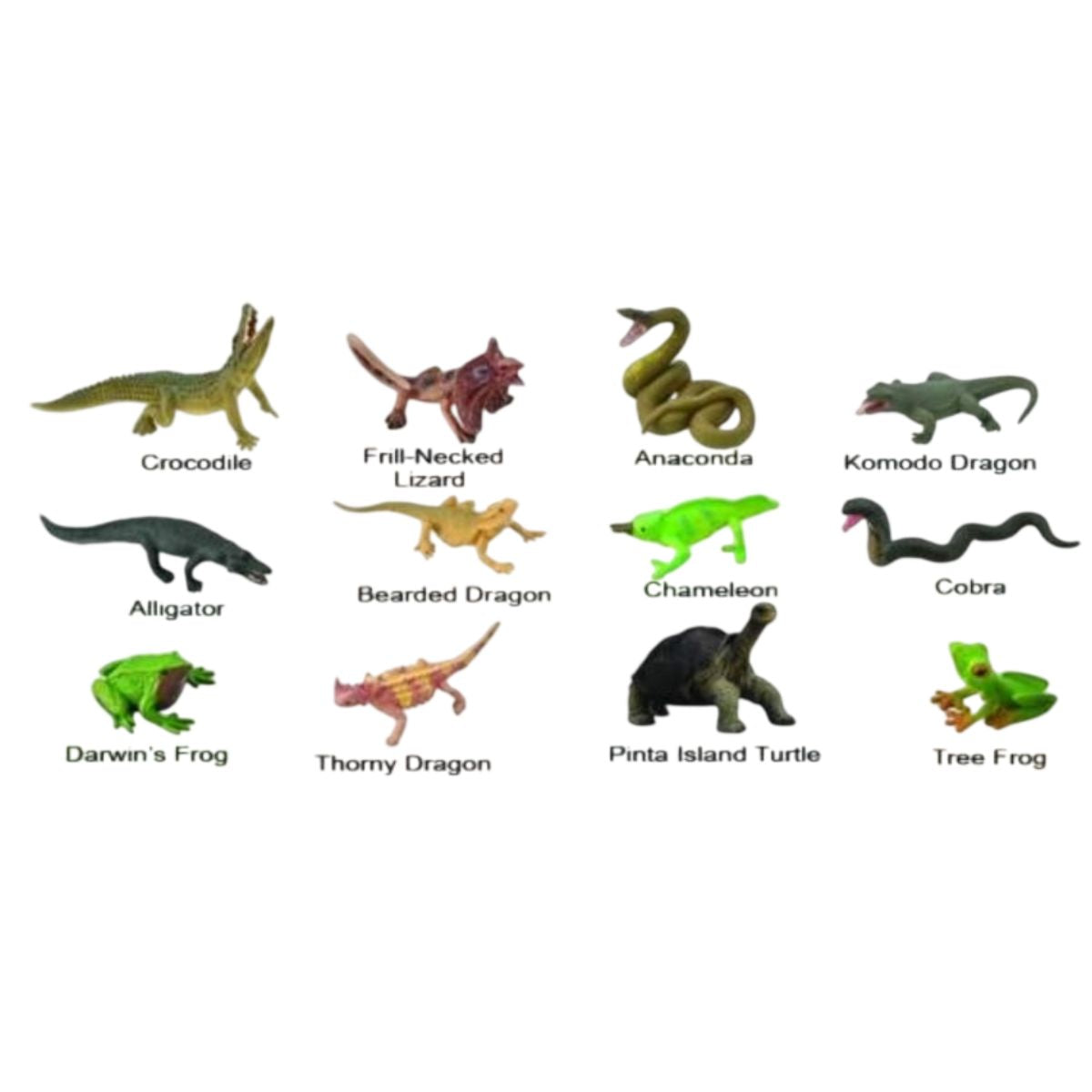 Collect A Reptiles and Amphibians 12 Piece Animal Figurine Gift Set – A1194