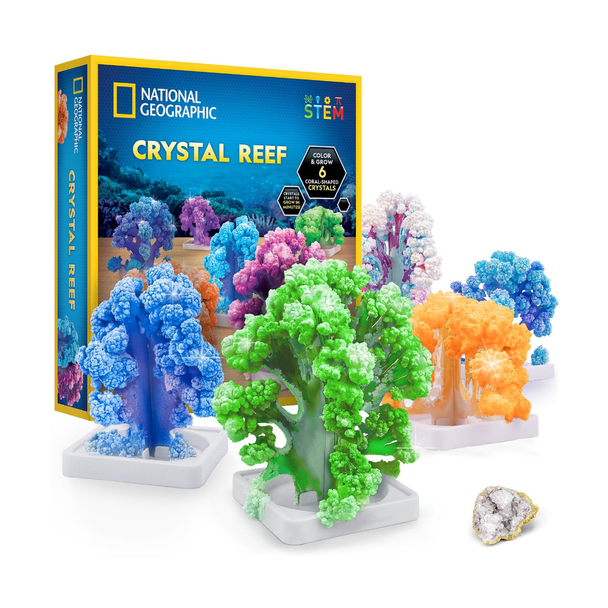 Bộ Thí Nghiệm Nuôi San Hô Tinh Thể Nat Geo STEAM RTCRYSHAB