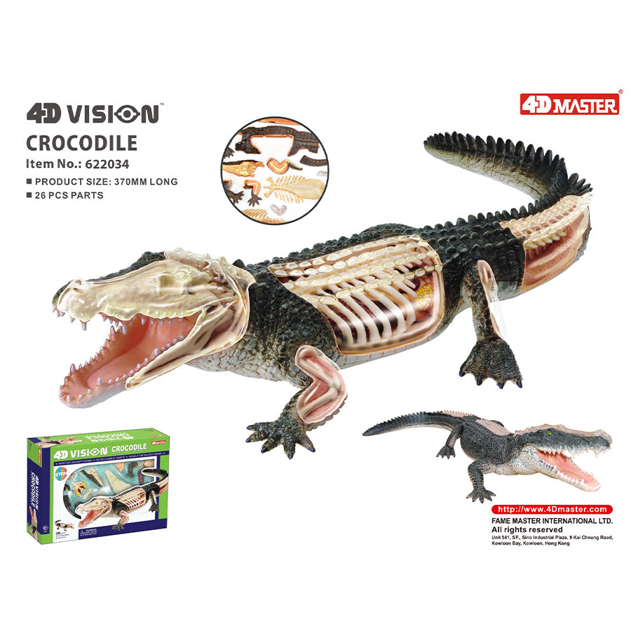 4D Anatomy Model Toy - STEAM Crocodile 622034