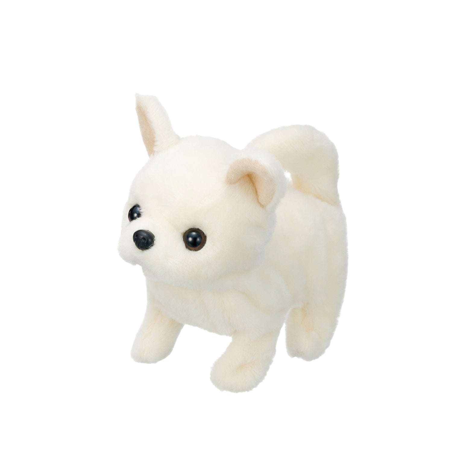 Cún Con - Baby Chihuahua Iwaya 3301-3vn-Js