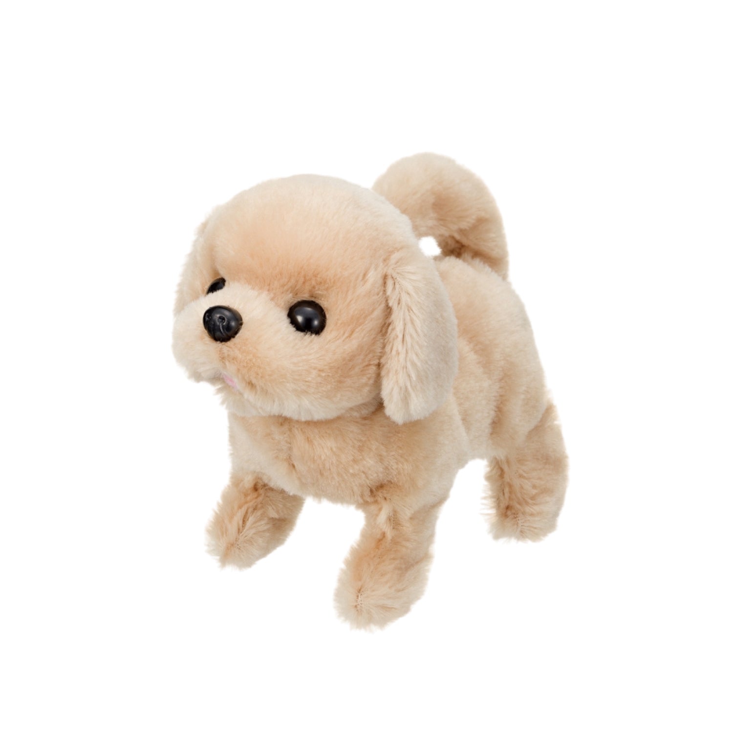 Cún Con - Baby Retriever Iwaya 3114-6vn/Js