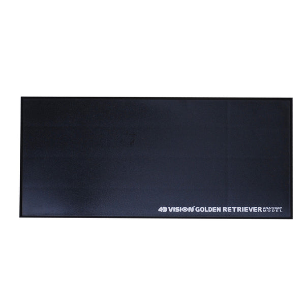 do-choi-mo-hinh-giai-phau-4d-cho-san-long-vang-622007-08