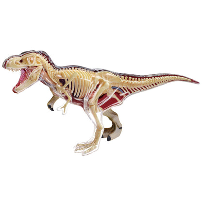 do-choi-mo-hinh-giai-phau-4d-khung-long-t-rex-622013-09