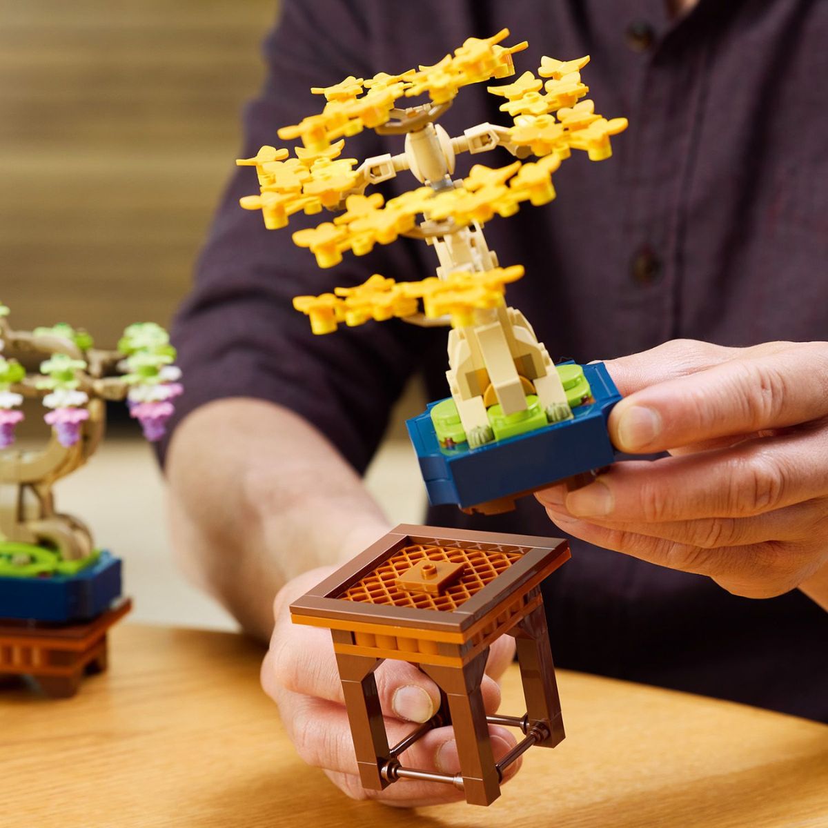Đồ Chơi Lắp Ráp Cây Bonsai Mini LEGO BOTANICALS 10373