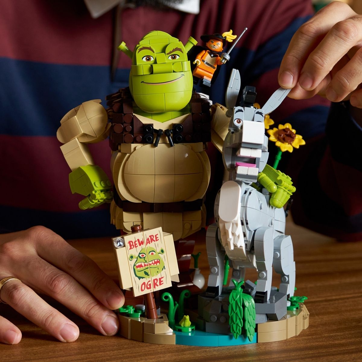 do-choi-lap-rap-chan-tinh-shrek-lua-va-meo-di-hia-lego-b-2026-72423-03