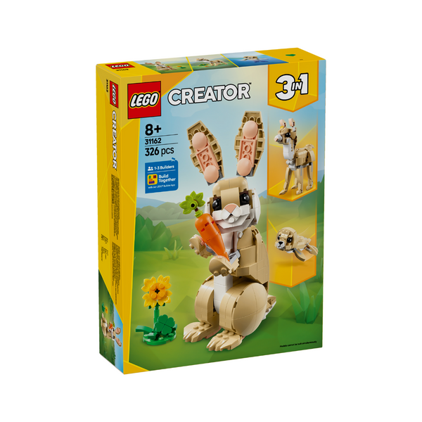 do-choi-lap-rap-chu-tho-dang-yeu-lego-creator-31162-05