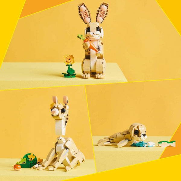 do-choi-lap-rap-chu-tho-dang-yeu-lego-creator-31162-08
