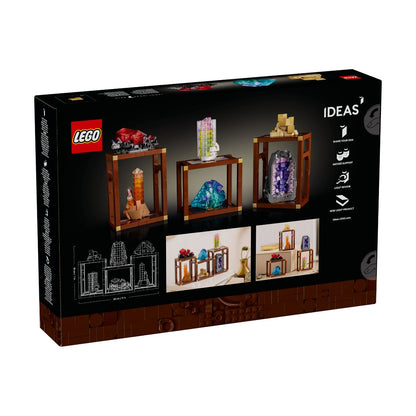 do-choi-lap-rap-da-quy-tinh-the-lego-ideas-21362-015